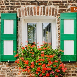Fenster mit grünen Fensterläden und Blumenkasten